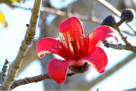Tử vi ngày 22/3/2023 của 12 cung hoàng đạo: Bọ Cạp ưa thích khám phá, Song Ngư phản ứng thái quá