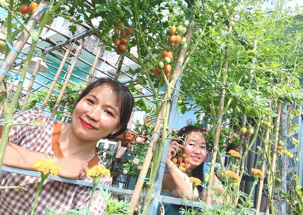 Vườn rau trái trĩu quả trên mái nhà của bà chủ 8X-2