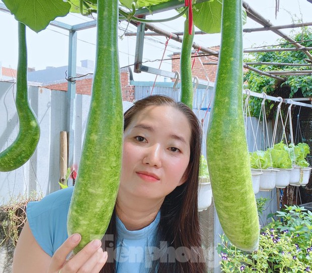 Vườn rau trái trĩu quả trên mái nhà của bà chủ 8X-3