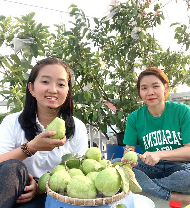 Vườn rau trái trĩu quả trên mái nhà của bà chủ 8X-5