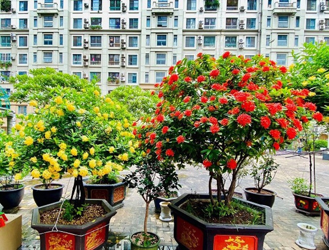 Biệt thự nhà vườn như lâu đài của Đại gia chân đất Quang Tèo thay đổi chóng mặt, đẹp ngỡ ngàng sau nhiều lần tu sửa-5