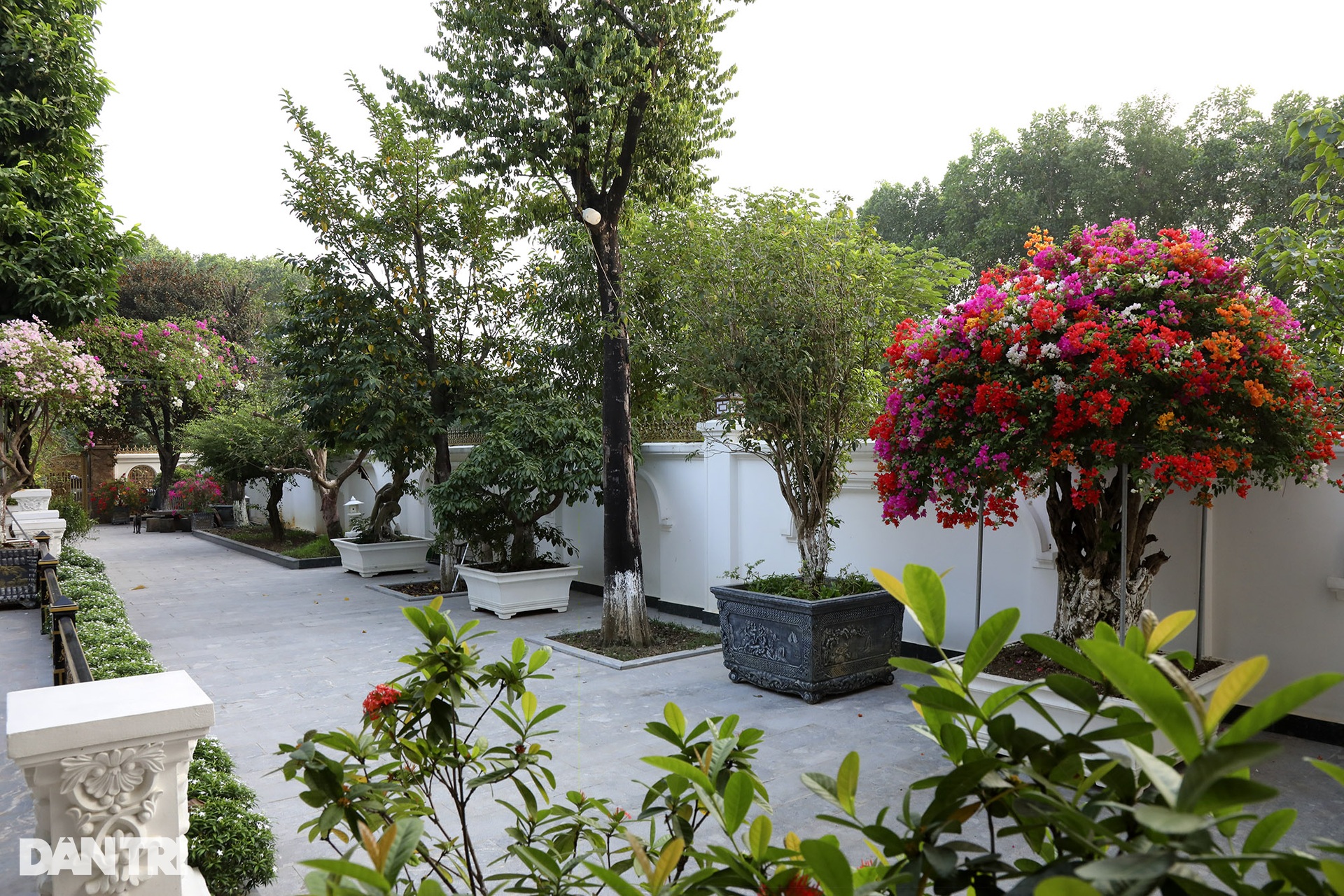 Biệt thự nhà vườn như lâu đài của Đại gia chân đất Quang Tèo thay đổi chóng mặt, đẹp ngỡ ngàng sau nhiều lần tu sửa-9