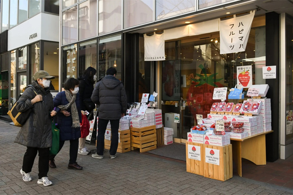 Bí mật phía sau loại dâu tây giá 3 triệu đồng/quả-2