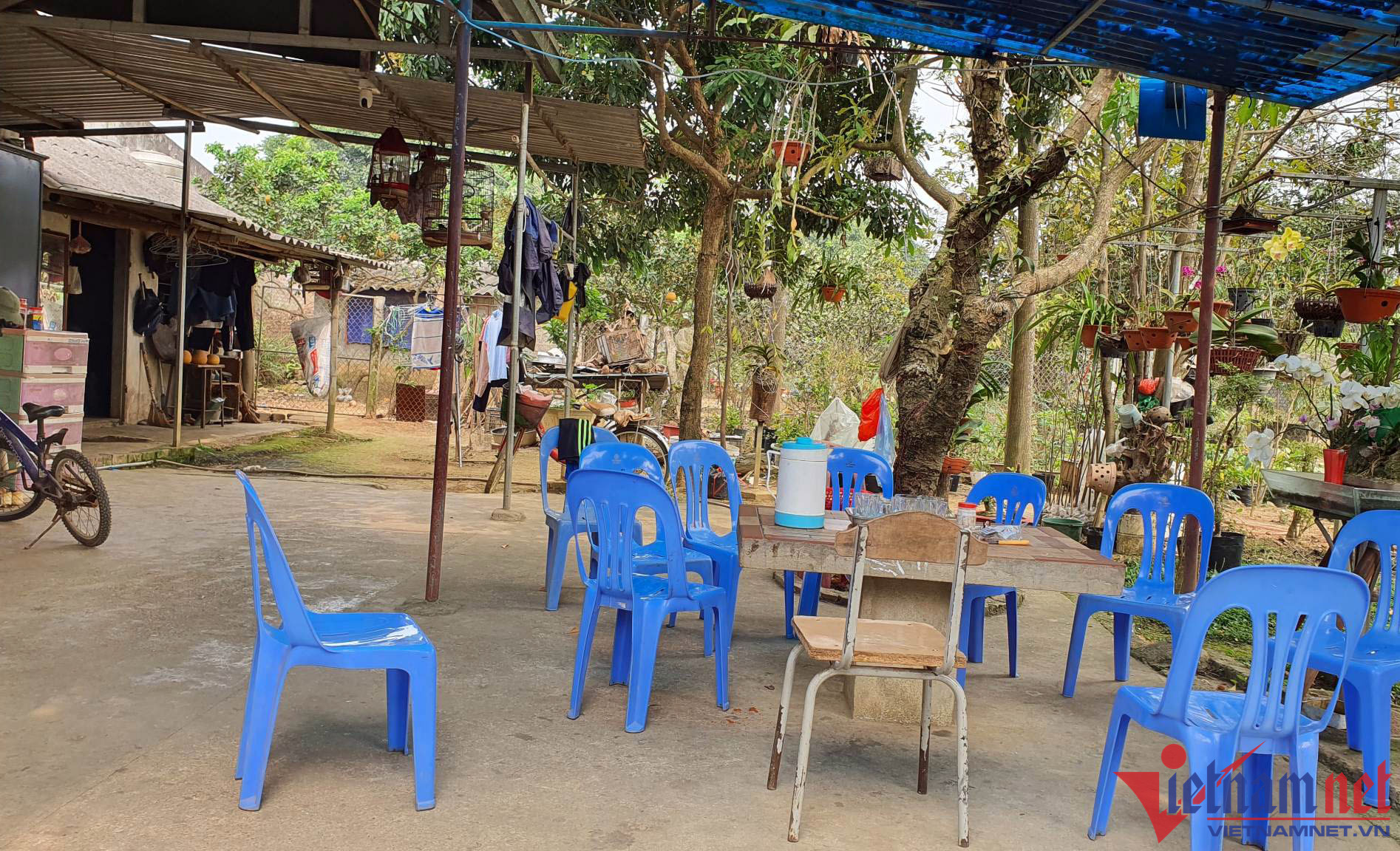 Nguyên nhân người đàn ông đánh liên tiếp vào đầu bé trai bạch tạng-4