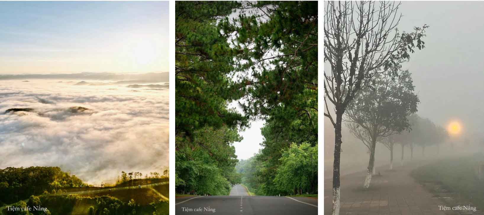 Đà Lạt thứ hai đẹp như tiên cảnh nhiều người còn chưa biết tên-1