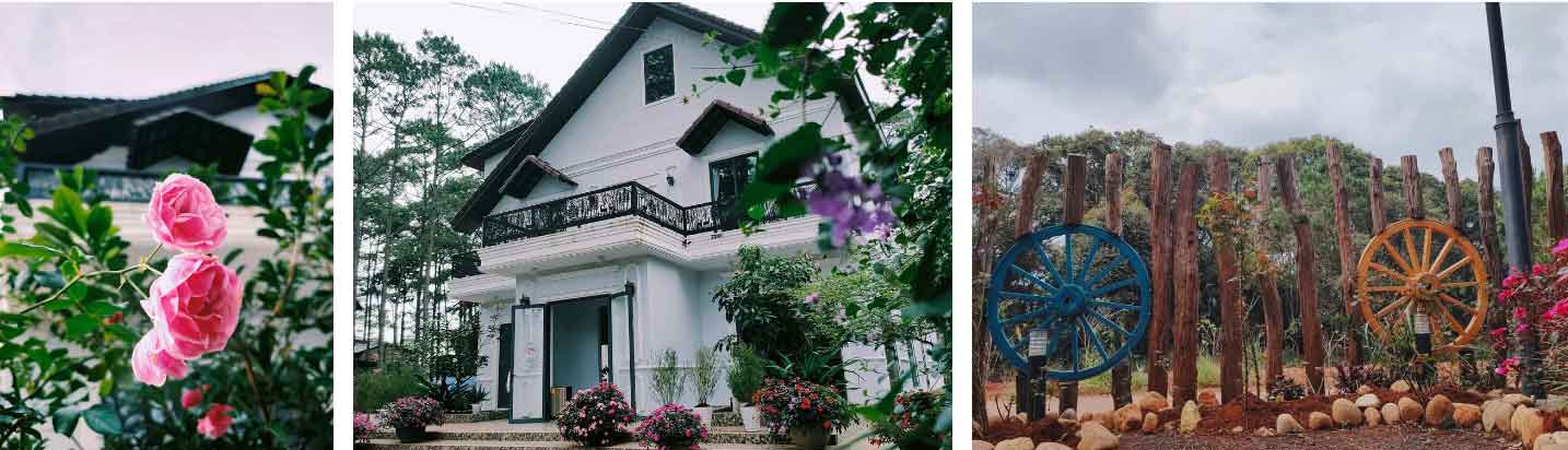 Đà Lạt thứ hai đẹp như tiên cảnh nhiều người còn chưa biết tên-7