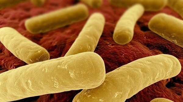 4 nhóm thực phẩm mà WHO cảnh báo dễ chứa độc tố botulinum nguy hiểm, 3 món hay có trong mâm cơm của các gia đình-2