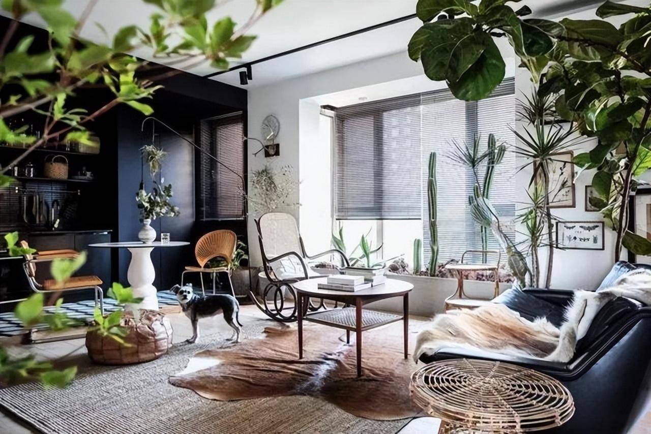 6 cây cảnh xấu xí, đặt một chậu ở phòng khách phát tài, vượng lộc, cho vàng cũng không đổi-1