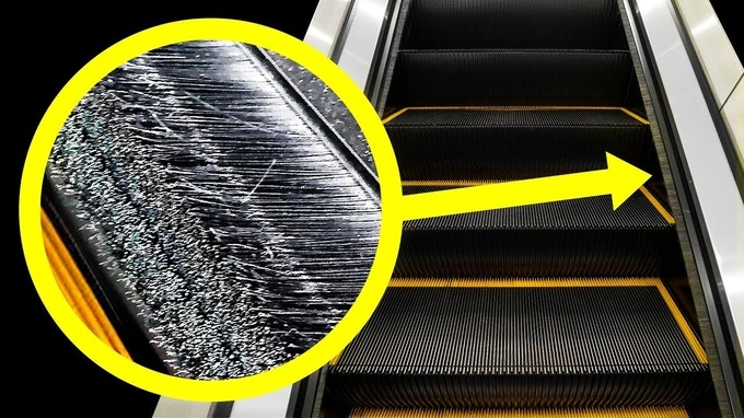 Bạn có biết: Phần lông bàn chải ở cạnh bậc thang cuốn có chức năng gì?-1