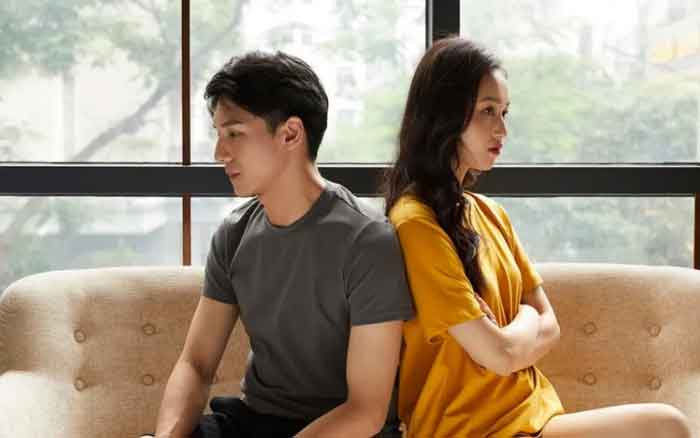 Vợ nổi nóng khi tôi đưa người giúp việc về đỡ đần cho cô ấy-1