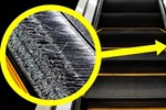 Bạn có biết: Phần lông bàn chải ở cạnh bậc thang cuốn có chức năng gì?
