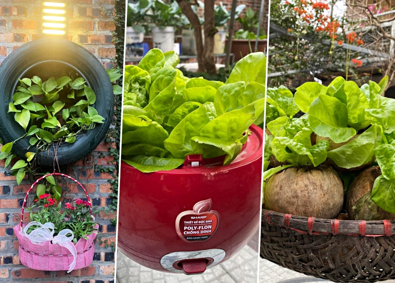 Nữ kế toán về hưu biến rác thải thành khu vườn xanh tươi hoa trái-2