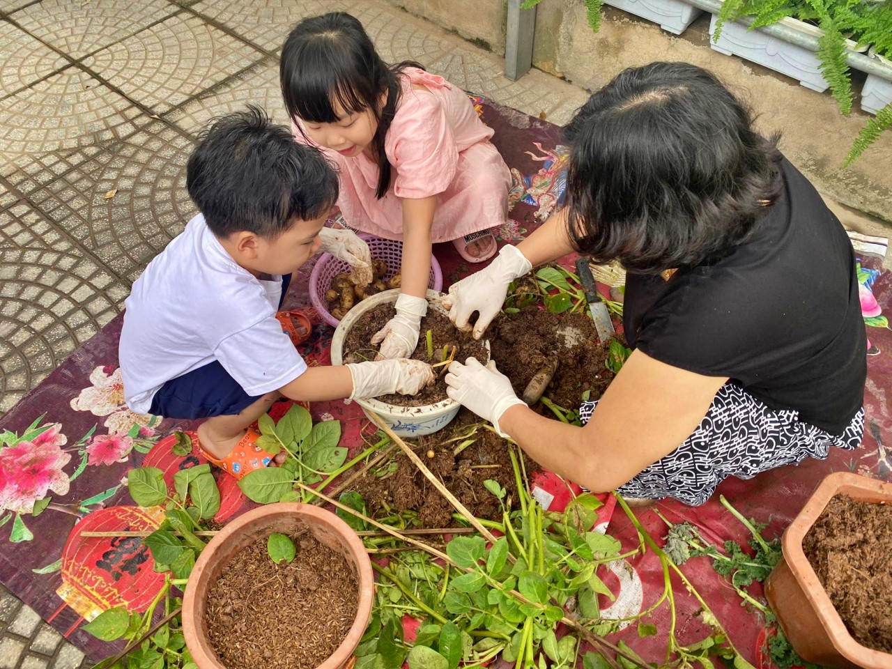 Nữ kế toán về hưu biến rác thải thành khu vườn xanh tươi hoa trái-6