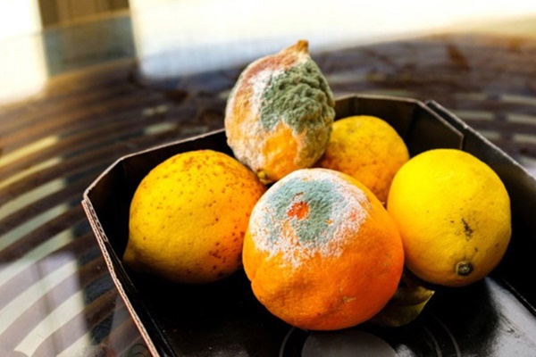 Cô gái 28 tuổi mắc ung thư dạ dày nghi do thói quen ăn đồ để lâu trong tủ lạnh-4