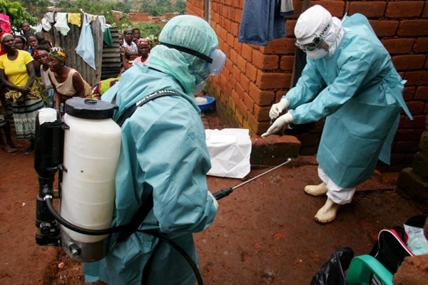 PGS.TS Trần Đắc Phu: Virus Marburg có thể xâm nhập sau 24 giờ-4