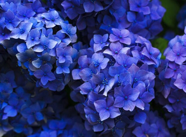 Người sinh vào 5 ngày Âm lịch này, thông thái lại kiên cường, nỗ lực được đền đáp-3