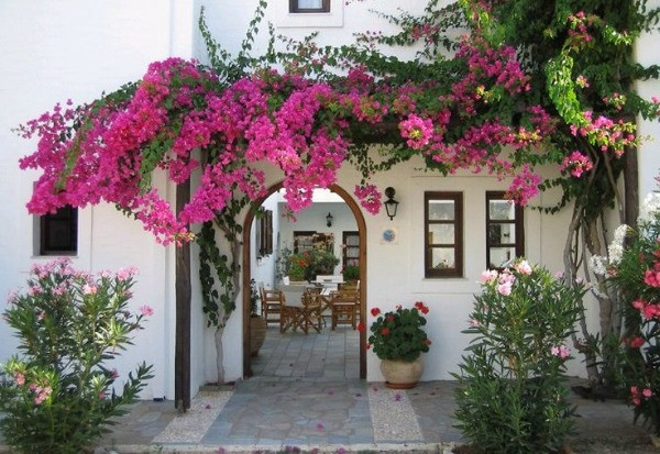 Lưu ý khi làm cổng nhà để đón sinh khí, chặn đen đủi-1