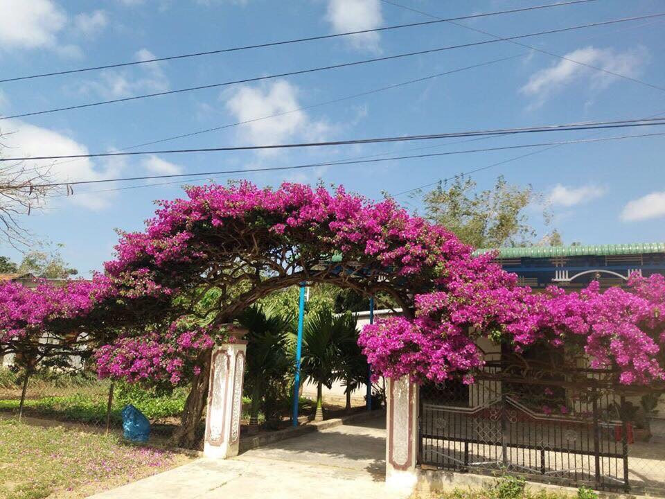 Lưu ý khi làm cổng nhà để đón sinh khí, chặn đen đủi-3