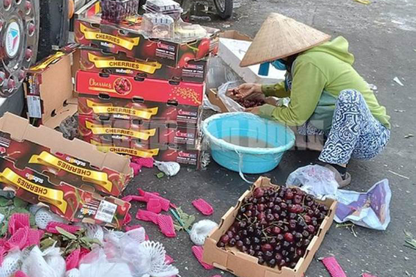 Lạ đời loại nho mọc chi chít dọc thân cây, nhiều người tò mò muốn đặt mua cũng khó-4