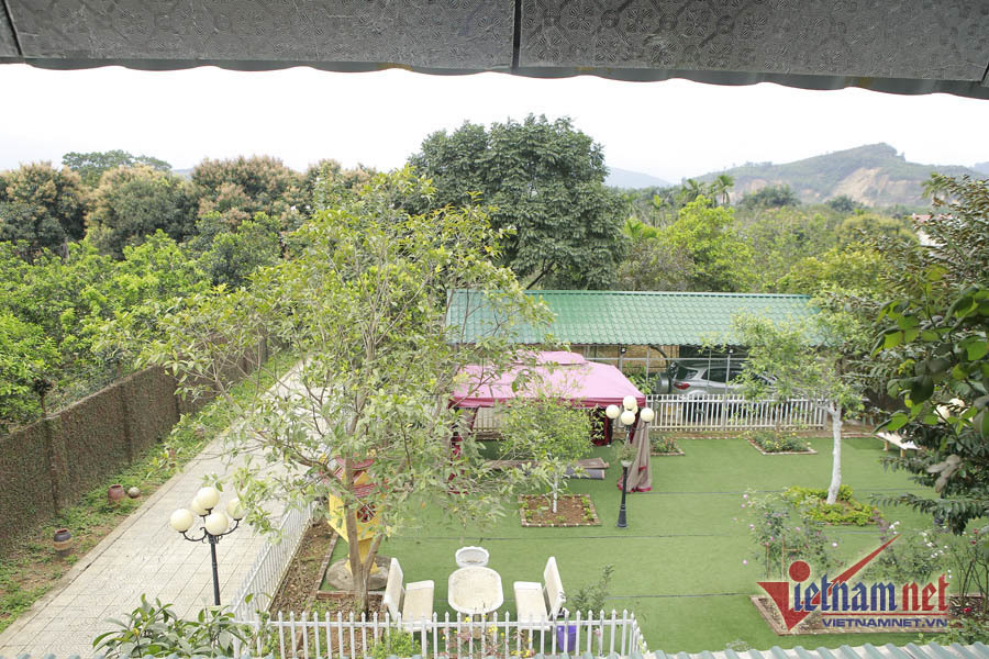 Tuổi 72 của NSND Thanh Hoa bình yên bên ngôi nhà rực rỡ sắc hoa-8