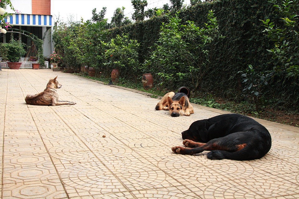 Tuổi 72 của NSND Thanh Hoa bình yên bên ngôi nhà rực rỡ sắc hoa-17