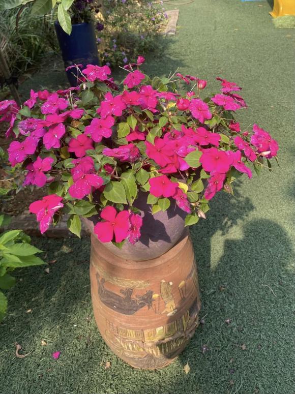 Tuổi 72 của NSND Thanh Hoa bình yên bên ngôi nhà rực rỡ sắc hoa-25