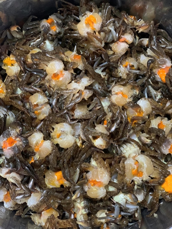 Thời tiết ngày càng nắng nóng, dân buôn cua hốt bạc”, ngày bán gần nửa tạ-3