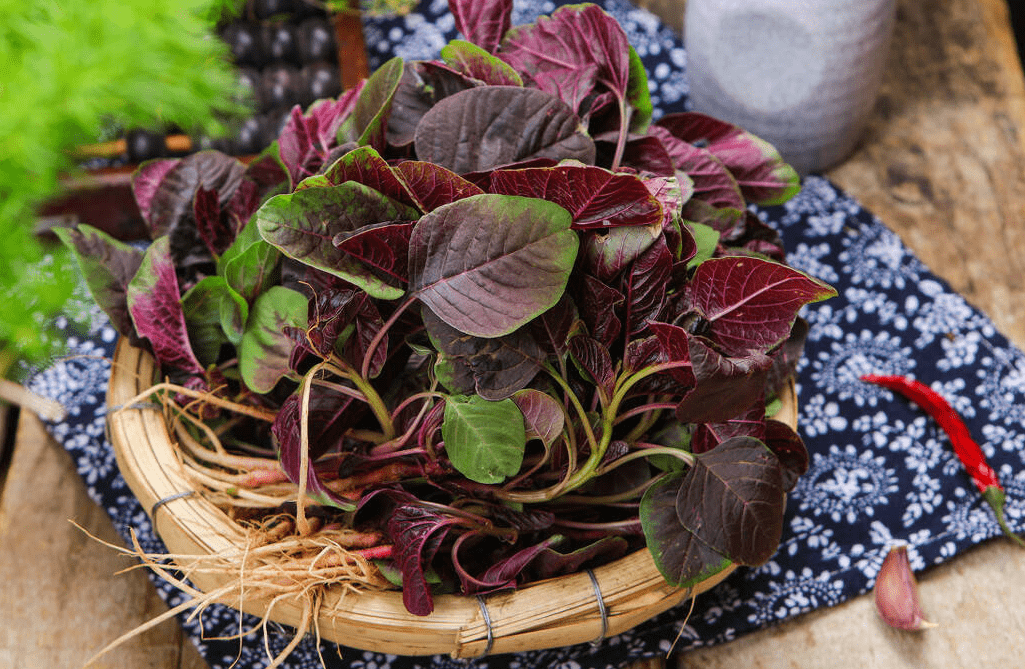 Mùa xuân nhớ ăn 3 rau, 2 quả, 1 đậu, vừa tăng hệ miễn dịch lại giúp dưỡng da trắng khỏe-5