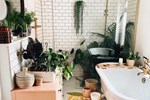 9 ý tưởng tạo vườn treo xanh tươi, đẹp mắt trong phòng tắm nhỏ