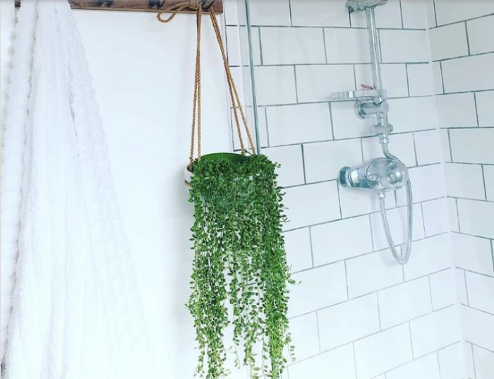 9 ý tưởng tạo vườn treo xanh tươi, đẹp mắt trong phòng tắm nhỏ-5