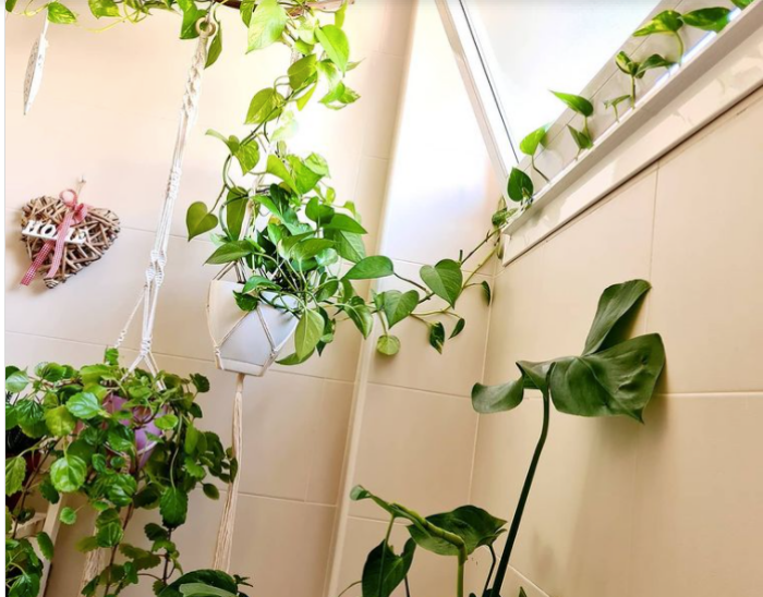 9 ý tưởng tạo vườn treo xanh tươi, đẹp mắt trong phòng tắm nhỏ-9
