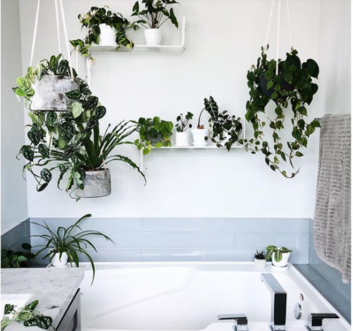 9 ý tưởng tạo vườn treo xanh tươi, đẹp mắt trong phòng tắm nhỏ-8
