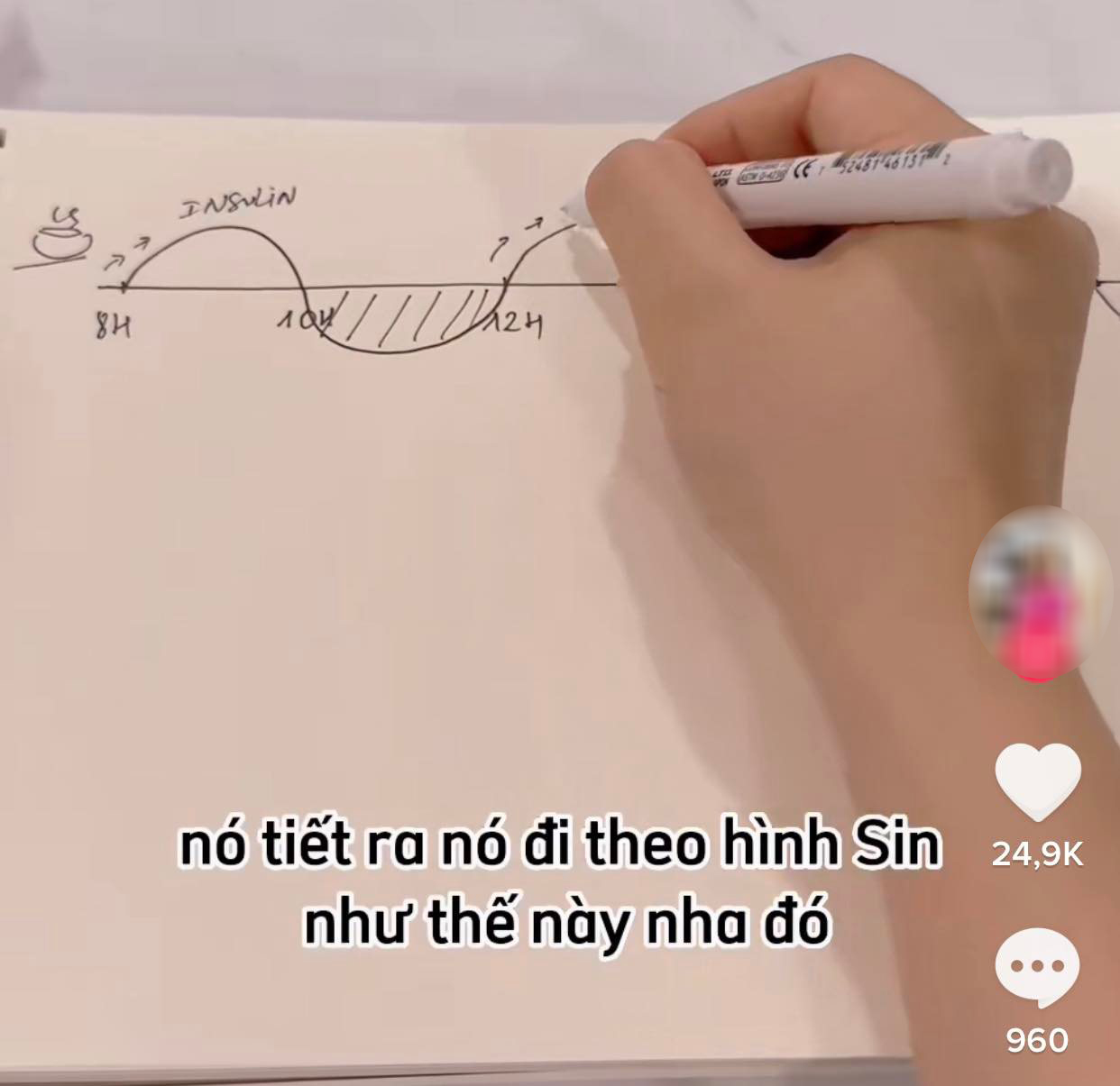 Giảm cân, đốt mỡ theo cơ chế insulin: Chuyên gia chỉ ra sự thật-1