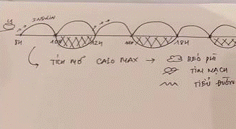 Giảm cân, đốt mỡ theo cơ chế insulin: Chuyên gia chỉ ra sự thật-2