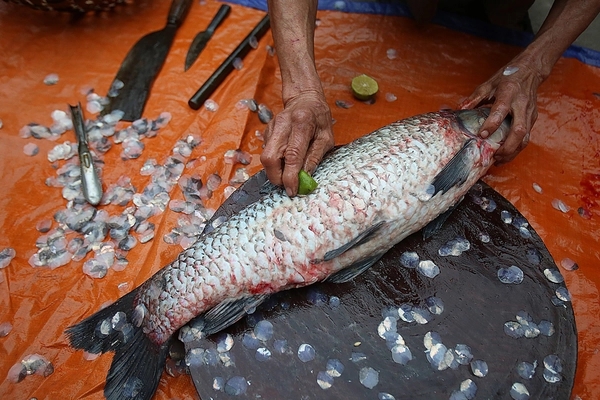 Nước đậu đen rất tốt nhưng tuyệt đối không được uống trong 4 trường hợp này-2