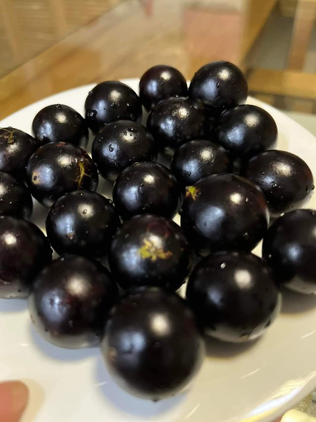 Lạ đời loại nho mọc chi chít dọc thân cây, nhiều người tò mò muốn đặt mua cũng khó-2