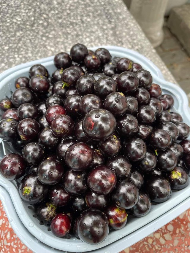 Lạ đời loại nho mọc chi chít dọc thân cây, nhiều người tò mò muốn đặt mua cũng khó-3