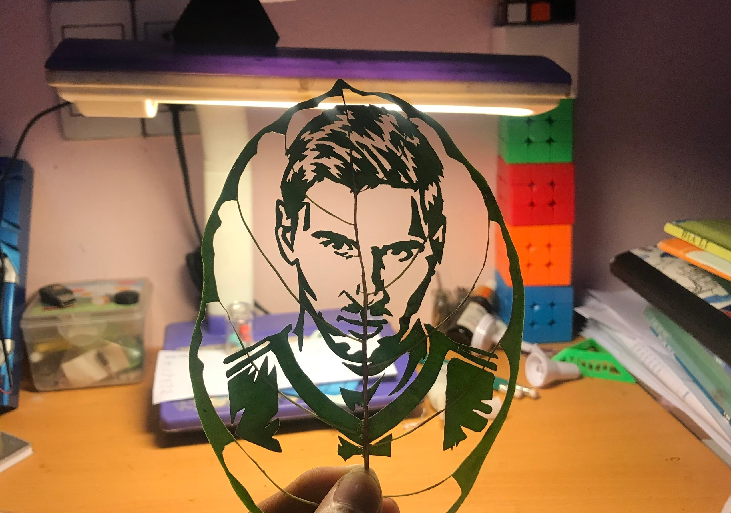 Chàng trai gen Z biến những chiếc lá vô tri thành tác phẩm nghệ thuật-4