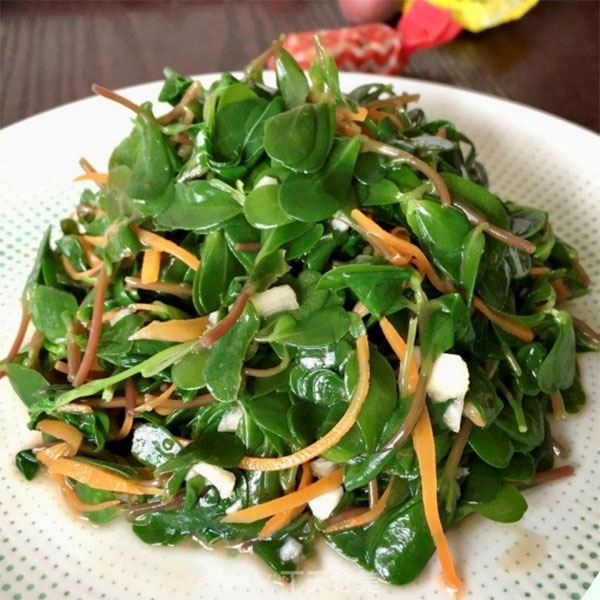 Cây mọc dại xưa cho lợn ăn hóa ra lại là kháng sinh tự nhiên” đem nấu kiểu này được món ngon-9