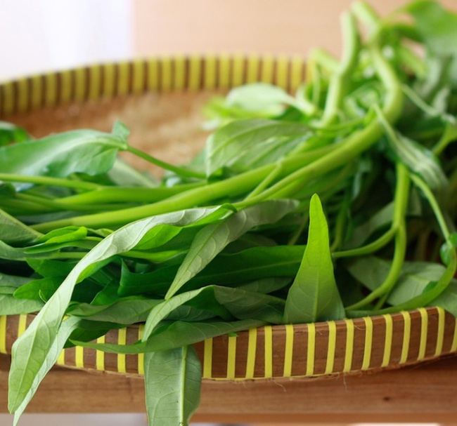 Cách trồng rau muống bằng cành lớn nhanh như thổi-7