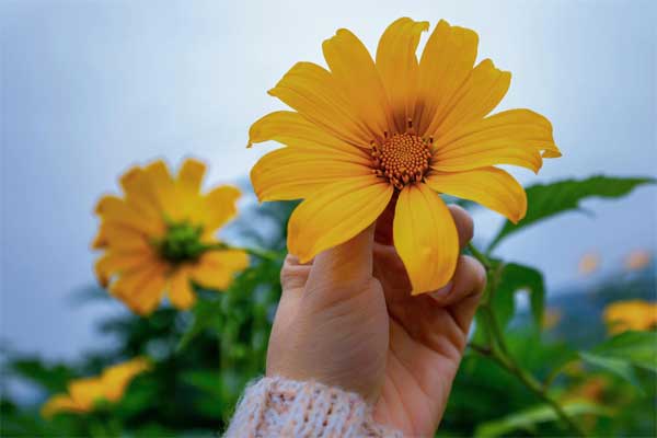 Người sinh vào 5 ngày Âm lịch này, được quý nhân che chở, về sau rủng rỉnh tiền bạc-2