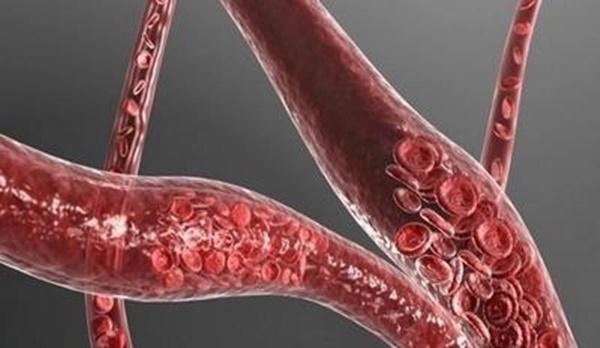 Bác sĩ người Nhật gợi ý 1 động tác thể dục đơn giản nhưng giúp trẻ hóa mạch máu-1