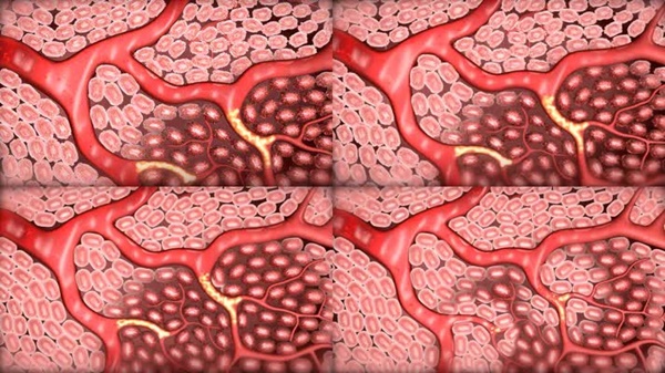 Bác sĩ người Nhật gợi ý 1 động tác thể dục đơn giản nhưng giúp trẻ hóa mạch máu-2