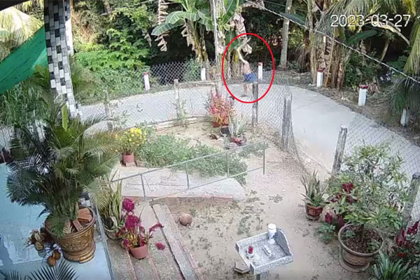 Bắt nữ YouTuber lên mạng bán cần sa, ship hàng bằng Grab-5