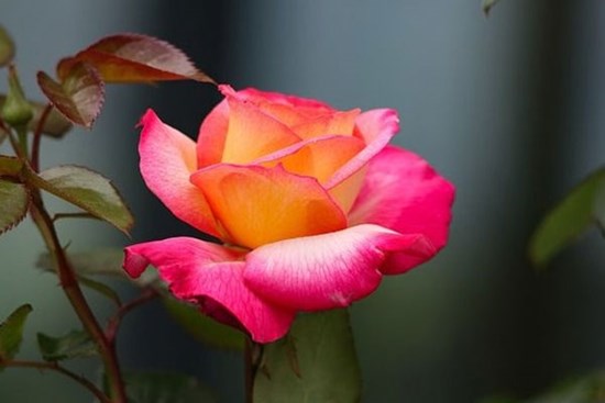 Sang tháng 4, 3 con giáp có tài lộc tứ phương hội tụ, làm gì cũng thuận lợi, tiền tài đến tay