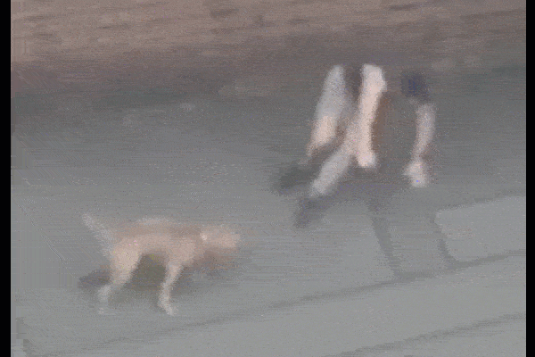 Đứng bên đường khoảng 1 phút, cụ ông sợ hãi đến 3 lần vì chứng kiến các vụ xe mất lái vì trời mưa-1