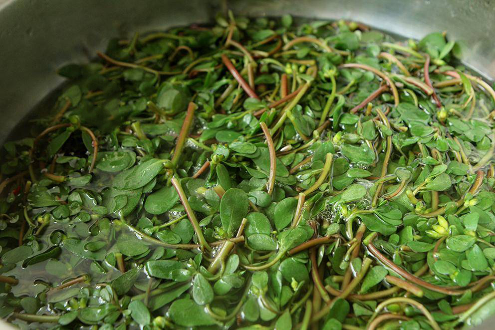 Vào bếp nấu 2 món rau quen thuộc dễ mua ngoài chợ, ăn vừa ngon lại giúp kiểm soát đường huyết tốt-2