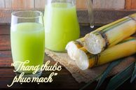 Thức uống được Đông y gọi là 'thang thuốc phục mạch', uống vào mùa hè vừa khỏe gan, tốt cho thận lại đẹp da