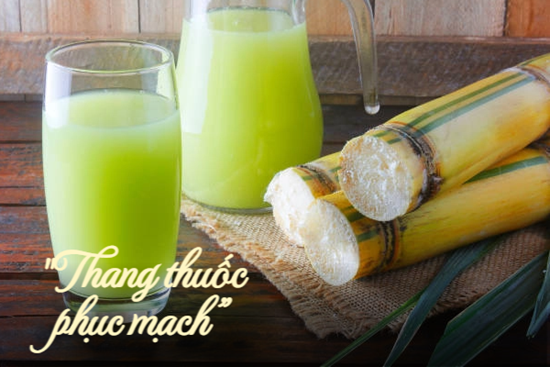 Thức uống được Đông y gọi là 