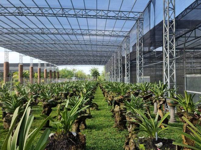 Choáng ngợp với biệt phủ khủng của các đại gia Việt: Chi 2 tỷ đồng/tháng thuê người làm, có căn làm từ 4.000 cây dừa-4
